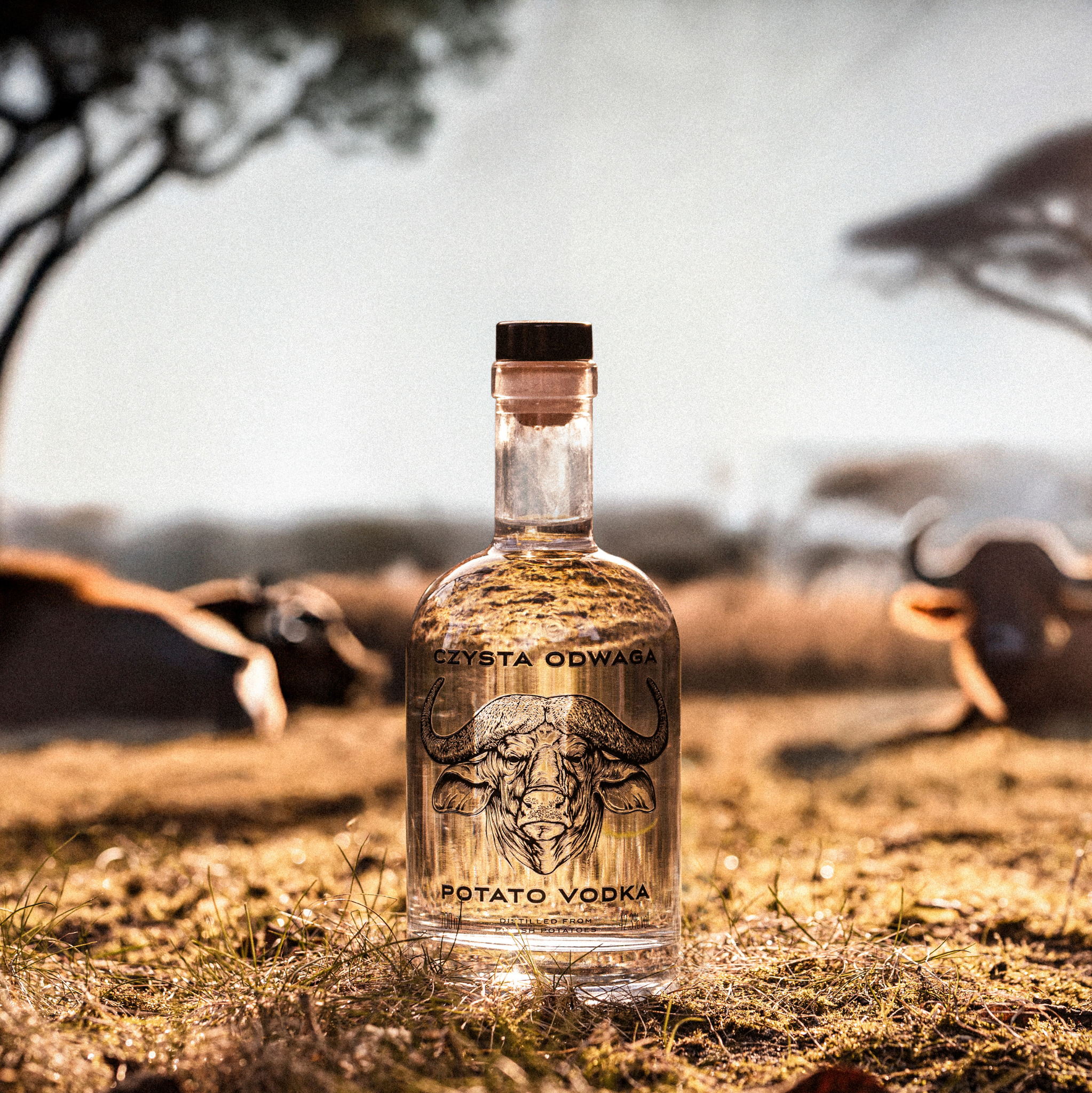 Dlaczego polska wódka ziemniaczana smakuje inaczej? Odkryj zalety Czystej Odwagi